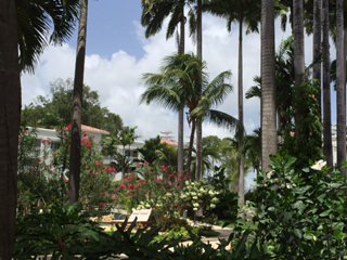 IMG_2428.JPG