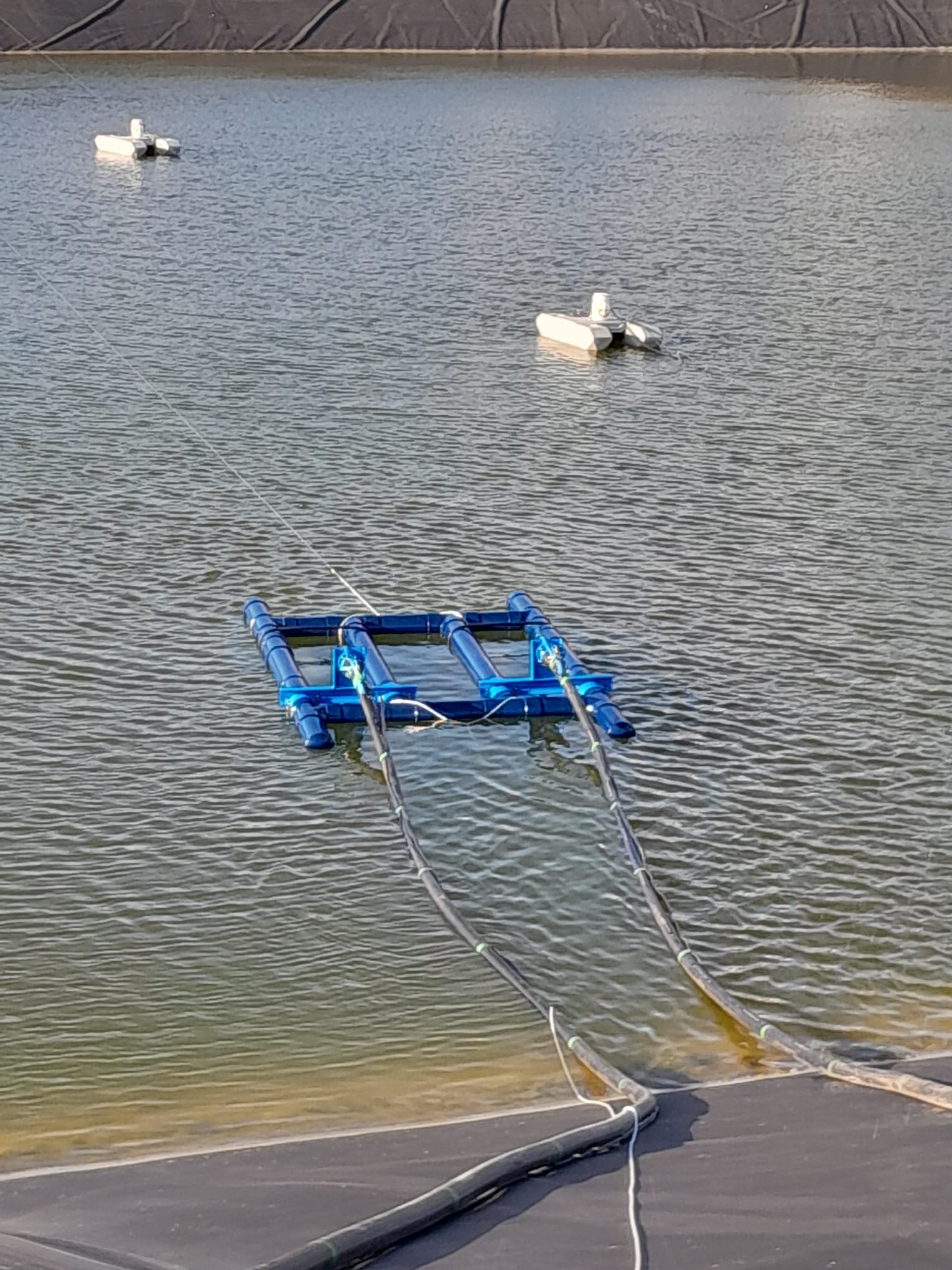 Lears%20Pond%206.JPG