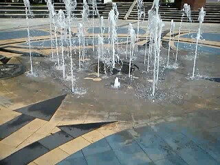 fis1
